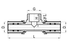 Té mâle, HS220-013